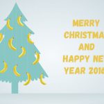 Merry Christmas and Happy New Year!